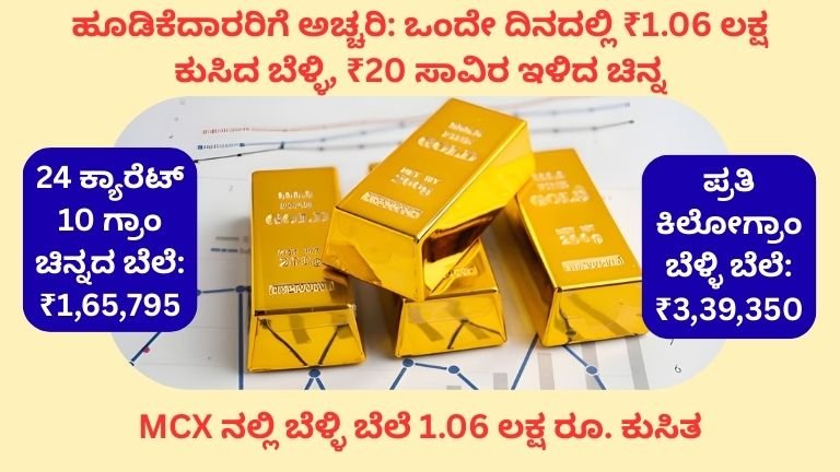 MCX ನಲ್ಲಿ ಬೆಳ್ಳಿ ಬೆಲೆ 1.06 ಲಕ್ಷ ರೂ. ಕುಸಿತ